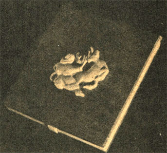 Рис. 27. Портсигар 'Ловля оленя'. 1981 г. Дерево, цевка. Рельефная резьба